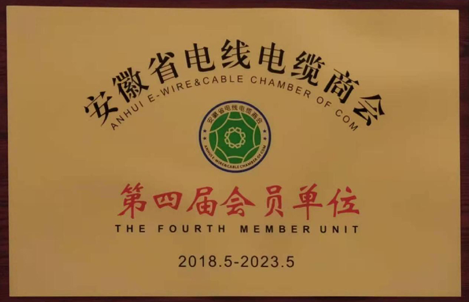 安徽省電線(xiàn)電纜商會(huì)會(huì)員證書(shū)