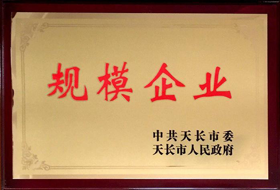 規(guī)模企業(yè)