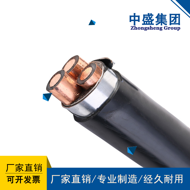 中盛鎧裝銅帶屏蔽阻燃控制電纜ZRC-KVVP2-22 10*4